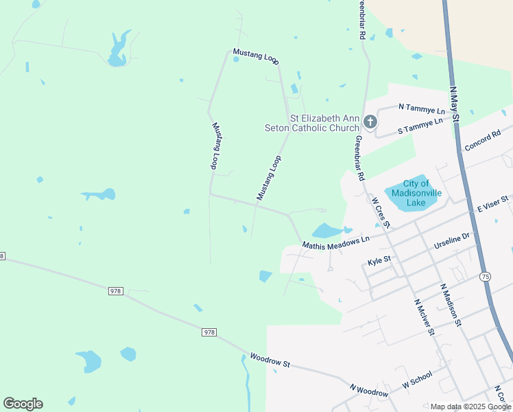 map of restaurants, bars, coffee shops, grocery stores, and more near 2058 Mustang Loop in Madisonville
