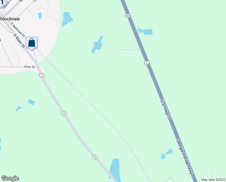 map of restaurants, bars, coffee shops, grocery stores, and more near in Ochlocknee