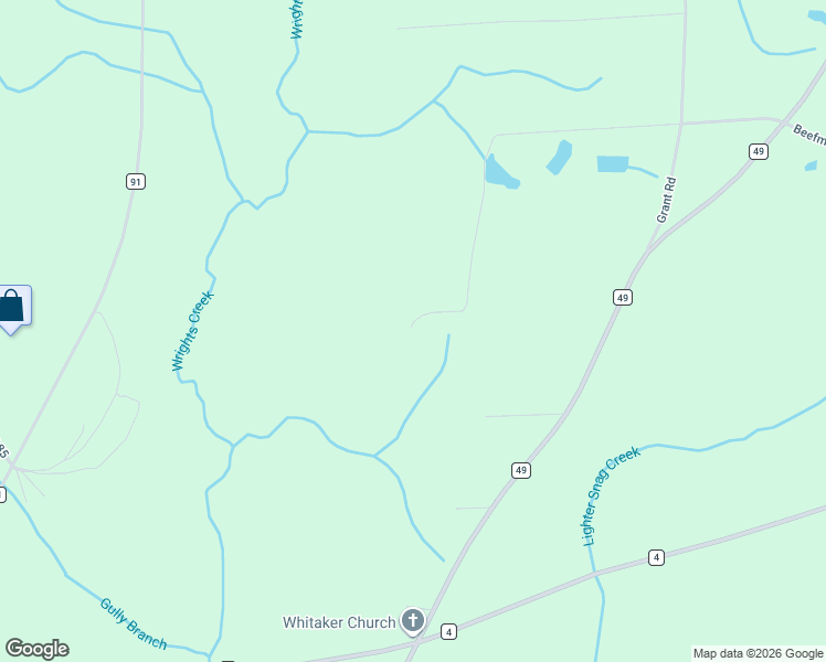 map of restaurants, bars, coffee shops, grocery stores, and more near 923 Lakeview Road in Slocomb