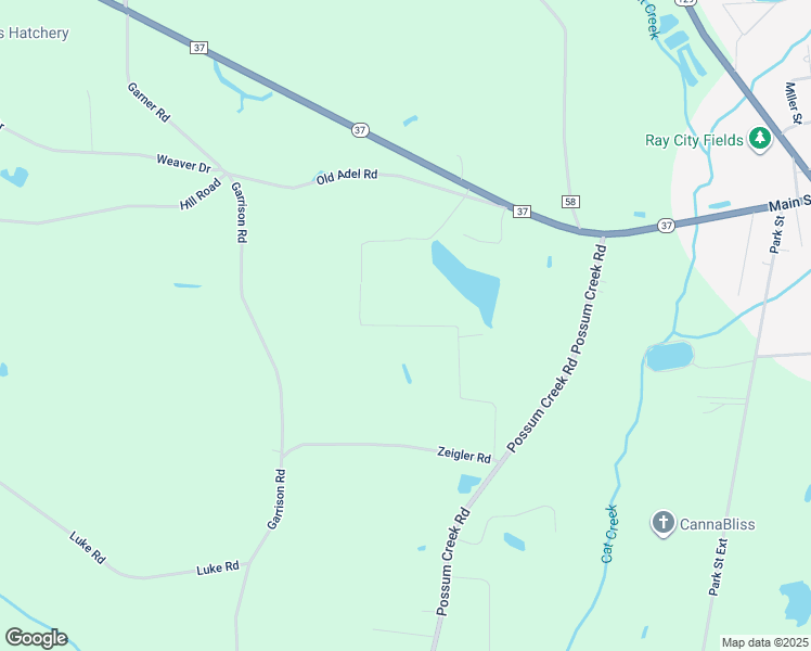 301 Lakeview Drive, Ray City GA Walk Score