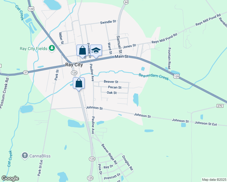 map of restaurants, bars, coffee shops, grocery stores, and more near 117 Oak Street in Ray City