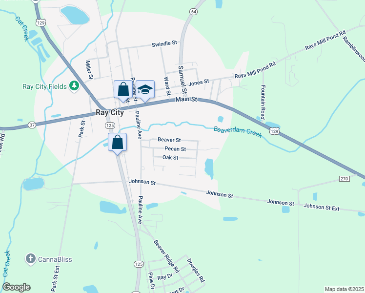 map of restaurants, bars, coffee shops, grocery stores, and more near 218 Beaver Street in Ray City