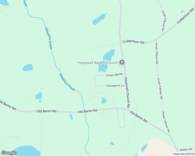 map of restaurants, bars, coffee shops, grocery stores, and more near 221 Crepe Myrtle Road in Moultrie