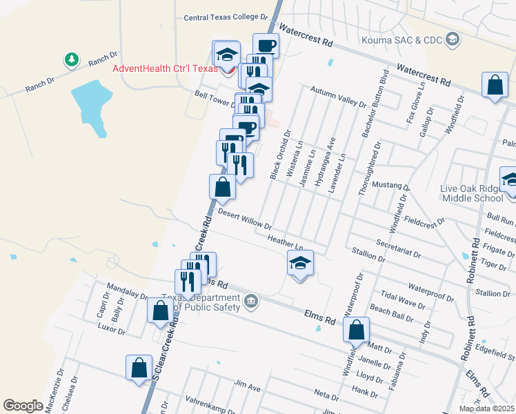 map of restaurants, bars, coffee shops, grocery stores, and more near 3101 Black Orchid Drive in Killeen