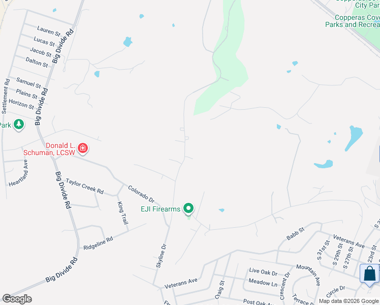 map of restaurants, bars, coffee shops, grocery stores, and more near 348 Skyline Drive in Copperas Cove