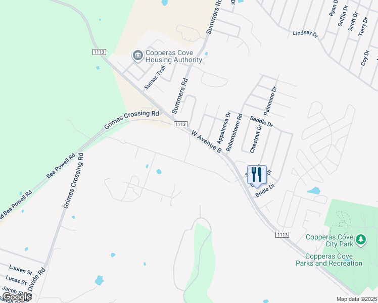 map of restaurants, bars, coffee shops, grocery stores, and more near 209 Olive Street in Copperas Cove