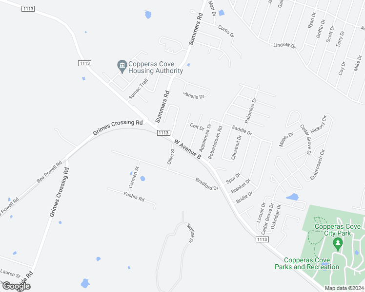 map of restaurants, bars, coffee shops, grocery stores, and more near 209 Olive Street in Copperas Cove