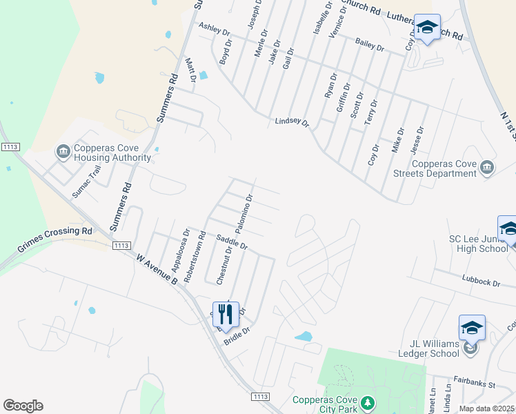 map of restaurants, bars, coffee shops, grocery stores, and more near 207 Halter Drive in Copperas Cove