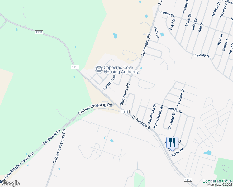 map of restaurants, bars, coffee shops, grocery stores, and more near 317 Summers Road in Copperas Cove