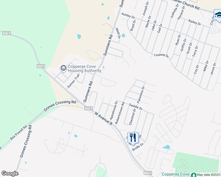 map of restaurants, bars, coffee shops, grocery stores, and more near 311 Janelle Drive in Copperas Cove