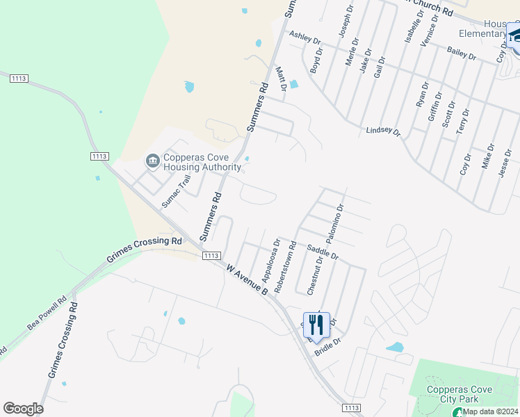 map of restaurants, bars, coffee shops, grocery stores, and more near 313 Janelle Drive in Copperas Cove