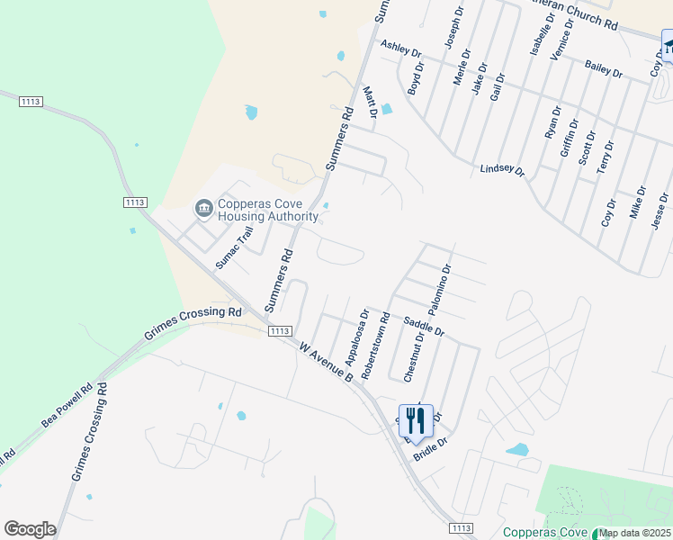 map of restaurants, bars, coffee shops, grocery stores, and more near 312 Janelle Drive in Copperas Cove