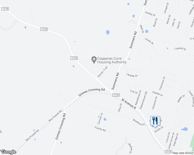 map of restaurants, bars, coffee shops, grocery stores, and more near 302 Primrose Drive in Copperas Cove