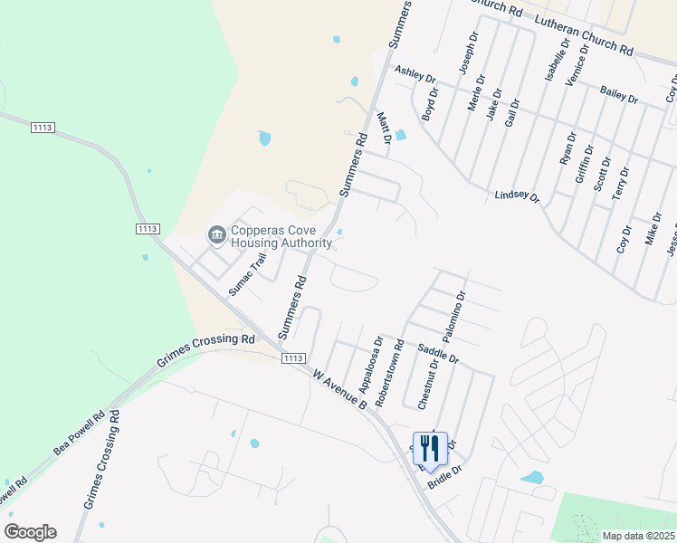 map of restaurants, bars, coffee shops, grocery stores, and more near 202 Janelle Drive in Copperas Cove
