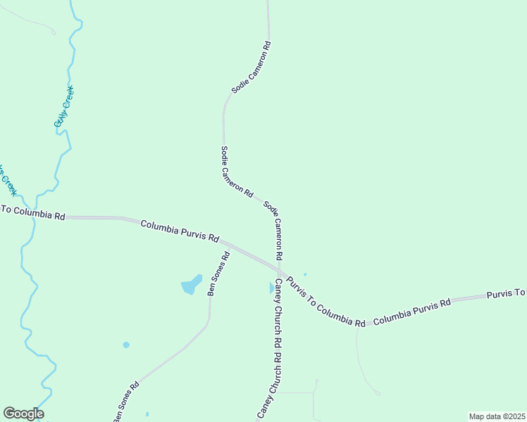 map of restaurants, bars, coffee shops, grocery stores, and more near 49 Sodie Cameron Road in Lumberton