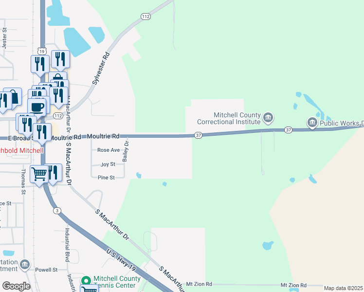 map of restaurants, bars, coffee shops, grocery stores, and more near 585 Moultrie Road in Camilla