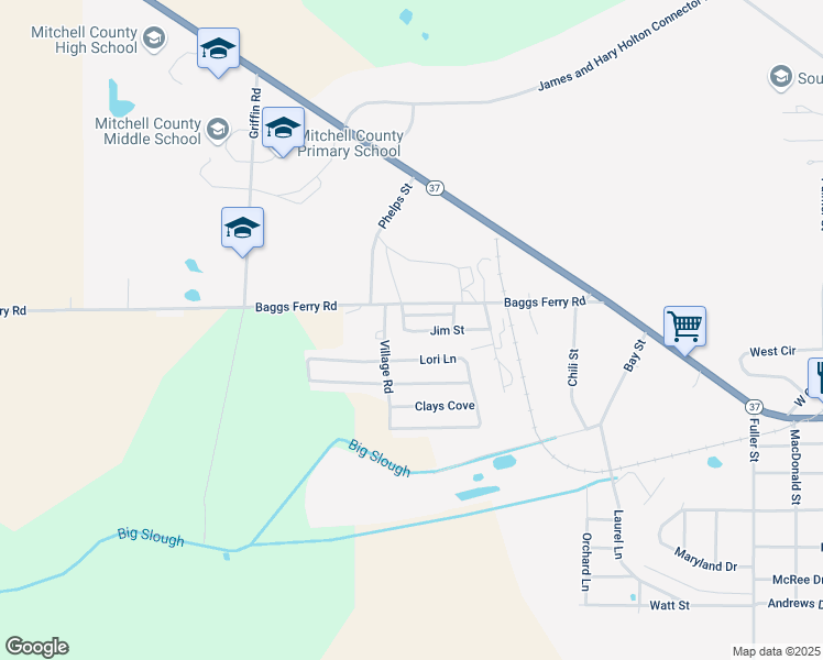 map of restaurants, bars, coffee shops, grocery stores, and more near 5590 Baggs Ferry Road in Camilla