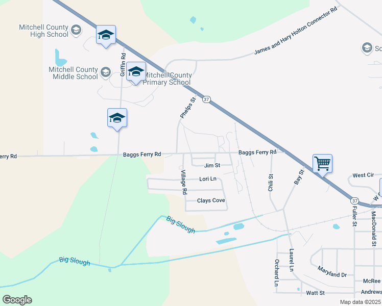 map of restaurants, bars, coffee shops, grocery stores, and more near 5590 Baggs Ferry Road in Camilla