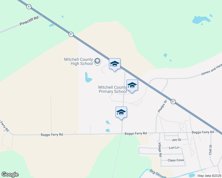 map of restaurants, bars, coffee shops, grocery stores, and more near 55 Griffin Road in Camilla