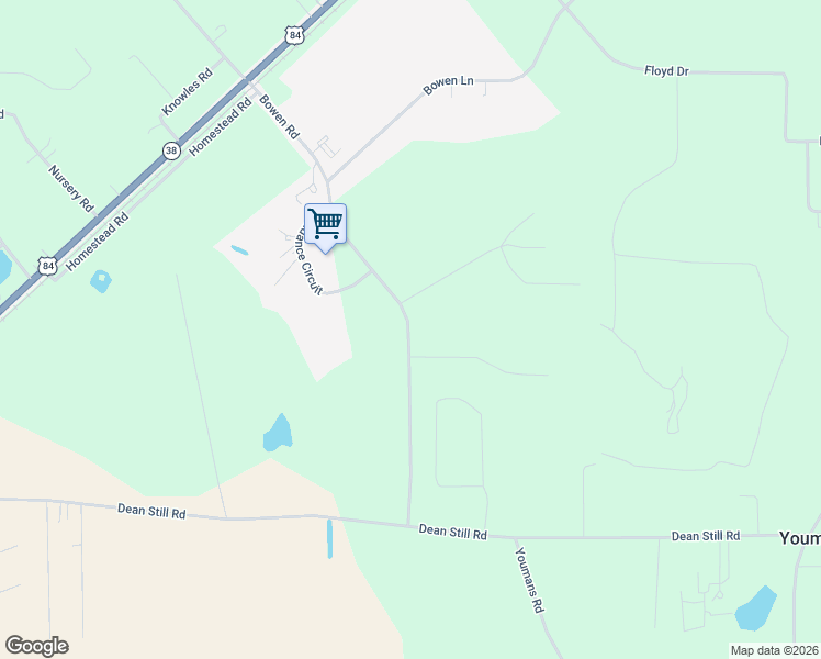 map of restaurants, bars, coffee shops, grocery stores, and more near Bowen Road in Blackshear