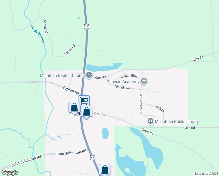 map of restaurants, bars, coffee shops, grocery stores, and more near 102 Nichols Road in McIntosh
