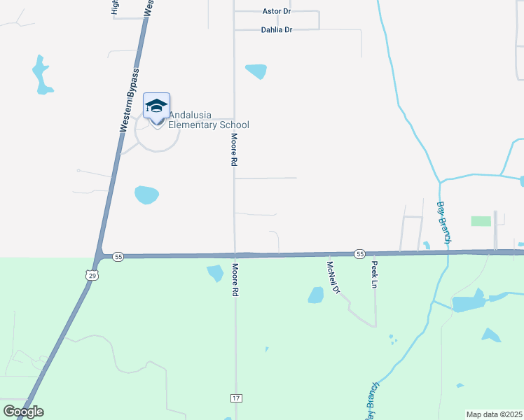map of restaurants, bars, coffee shops, grocery stores, and more near 751 Moore Road in Andalusia