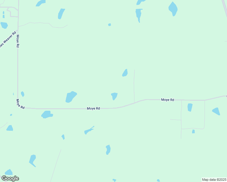 map of restaurants, bars, coffee shops, grocery stores, and more near 732 Moye Road in Norman Park