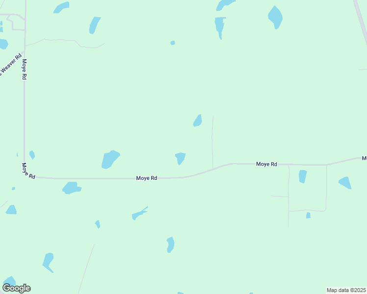 map of restaurants, bars, coffee shops, grocery stores, and more near 732 Moye Road in Norman Park