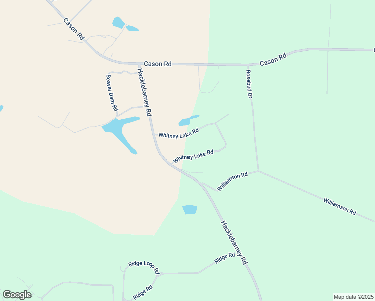 map of restaurants, bars, coffee shops, grocery stores, and more near 1309 Whitney Lake Road in Blackshear
