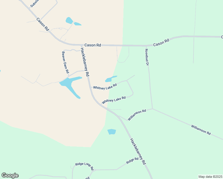 map of restaurants, bars, coffee shops, grocery stores, and more near 1309 Whitney Lake Road in Blackshear