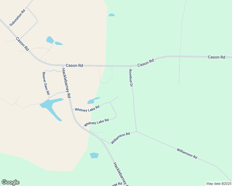 map of restaurants, bars, coffee shops, grocery stores, and more near Whitney Lake Road in Blackshear