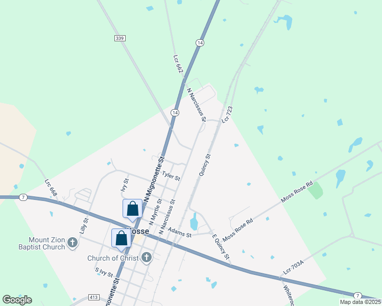 709 South Narcissus Street, Kosse TX Walk Score