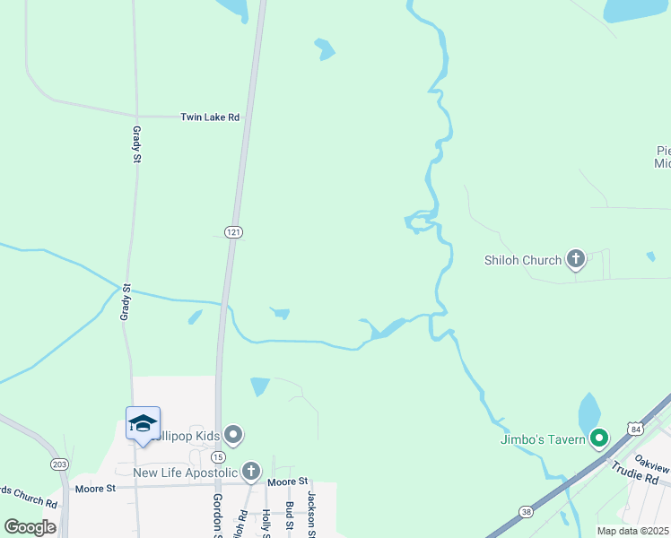 map of restaurants, bars, coffee shops, grocery stores, and more near in Blackshear