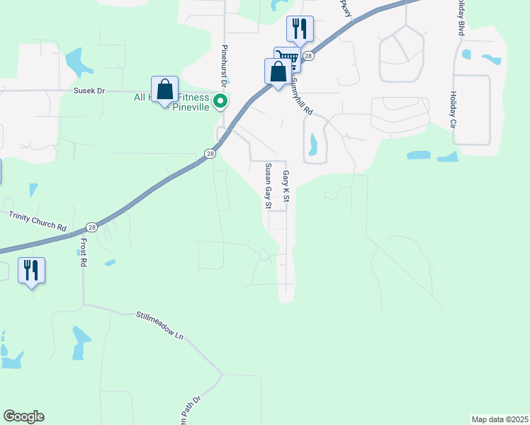 map of restaurants, bars, coffee shops, grocery stores, and more near 244 Susan Gay Street in Pineville