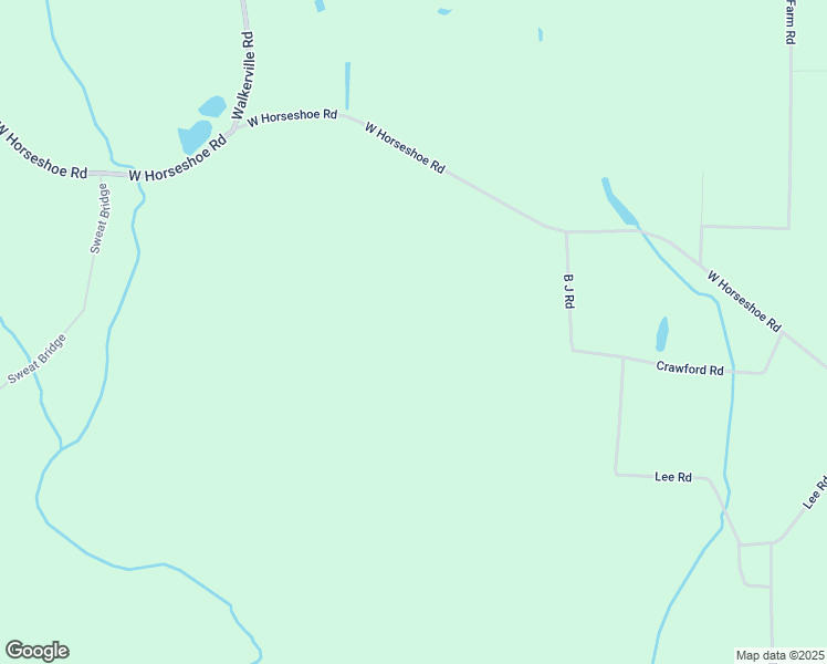 map of restaurants, bars, coffee shops, grocery stores, and more near 3707 West Horseshoe Road in Blackshear