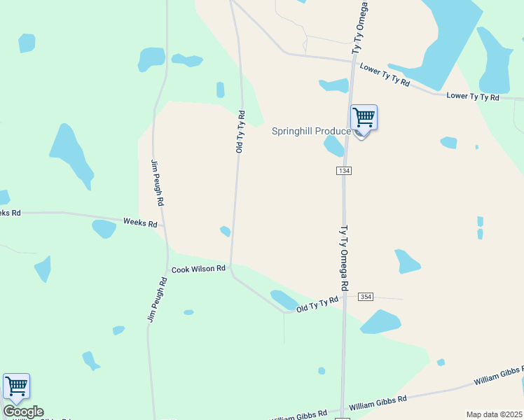 155 Old Ty Ty Road, Ty Ty GA Walk Score