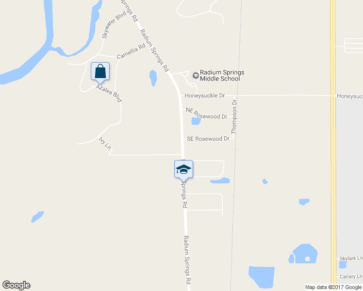 map of restaurants, bars, coffee shops, grocery stores, and more near 2903 Radium Springs Road in Albany