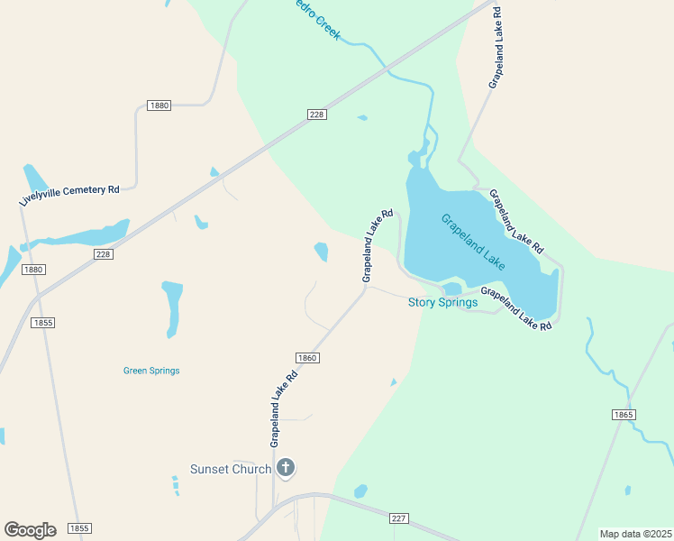 map of restaurants, bars, coffee shops, grocery stores, and more near 699 County Road 1860 in Grapeland