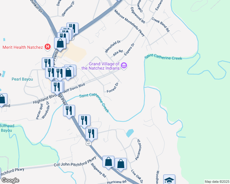 map of restaurants, bars, coffee shops, grocery stores, and more near 208 Forrest Drive in Natchez