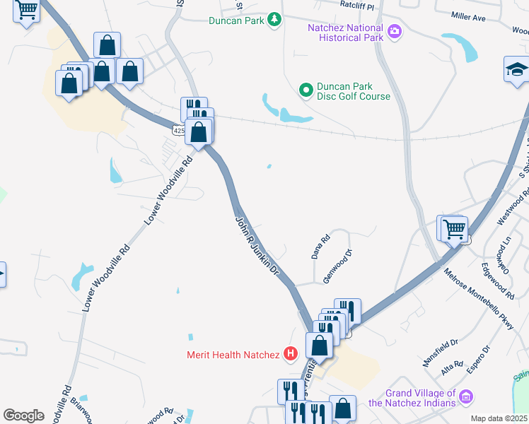map of restaurants, bars, coffee shops, grocery stores, and more near 551 John R Junkin Drive in Natchez