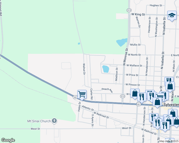 map of restaurants, bars, coffee shops, grocery stores, and more near 317 Carter Road in Sylvester