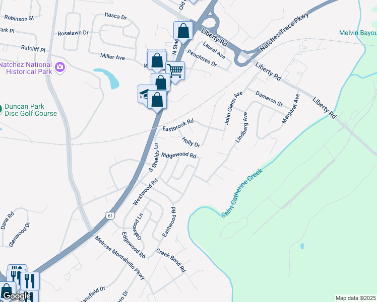 map of restaurants, bars, coffee shops, grocery stores, and more near 208 Holly Drive in Natchez