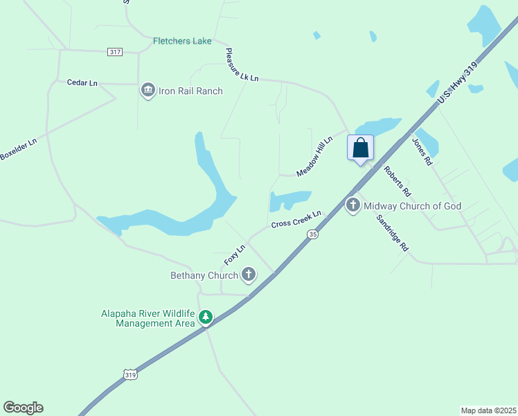 map of restaurants, bars, coffee shops, grocery stores, and more near 166 Meadow Hill Lane in Ocilla