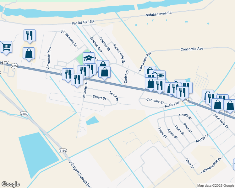 map of restaurants, bars, coffee shops, grocery stores, and more near 101-129 Lee Avenue in Vidalia
