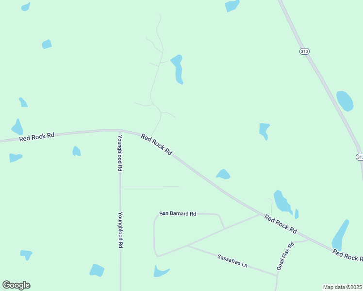 map of restaurants, bars, coffee shops, grocery stores, and more near 410 Red Rock Road in Sylvester