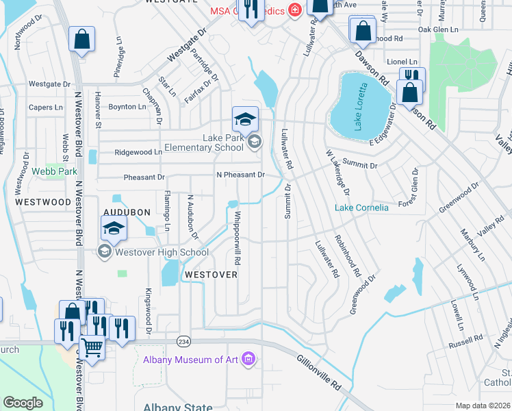 map of restaurants, bars, coffee shops, grocery stores, and more near 513 Meadowlark Drive in Albany