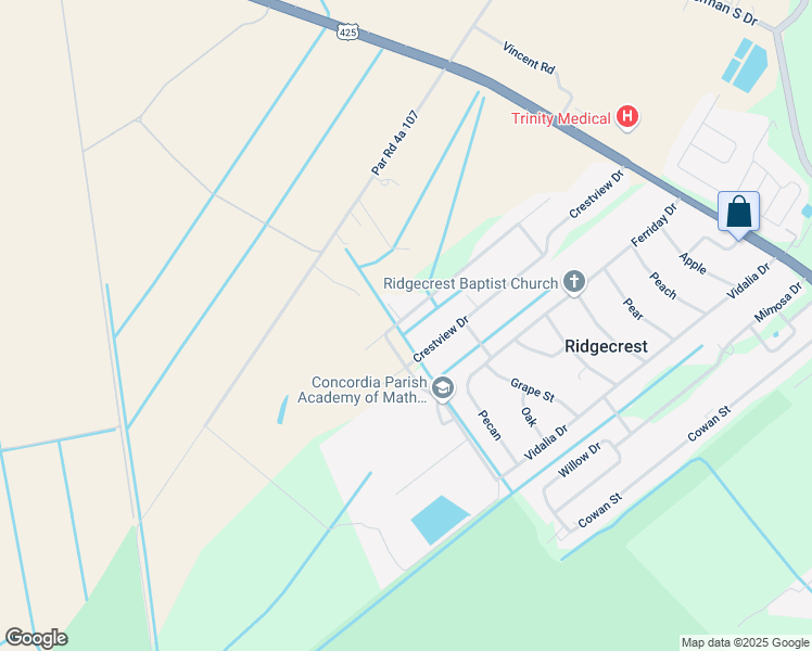 map of restaurants, bars, coffee shops, grocery stores, and more near 133-139 Lee in Ferriday