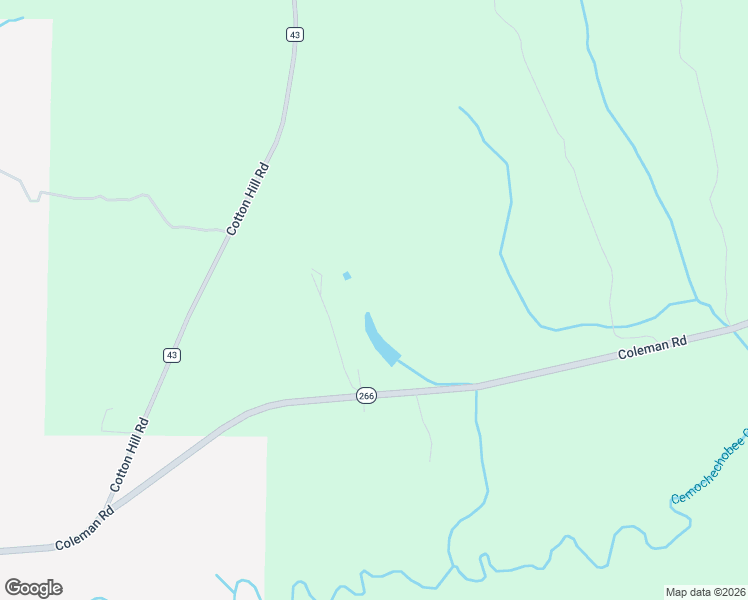 map of restaurants, bars, coffee shops, grocery stores, and more near 515 Coleman Road in Fort Gaines