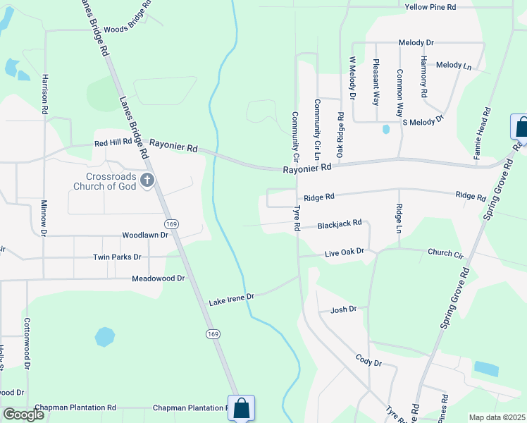 map of restaurants, bars, coffee shops, grocery stores, and more near 168 Hawaii Circle in Jesup