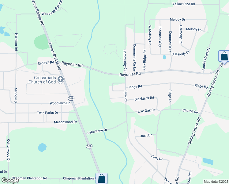 map of restaurants, bars, coffee shops, grocery stores, and more near 168 Hawaii Circle in Jesup